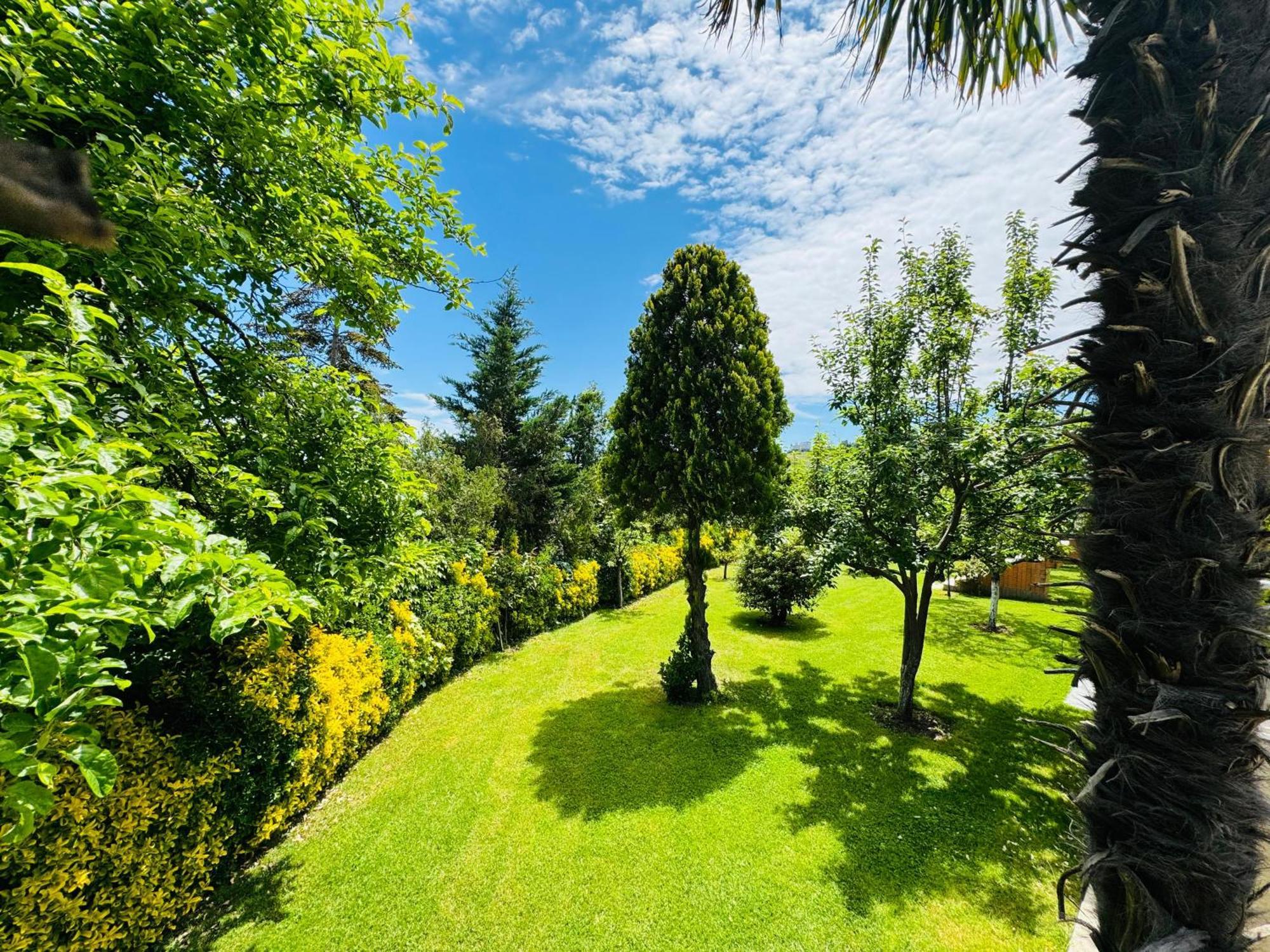 Istanbul Airport Treekos Suite Hotel Karaburun  Екстер'єр фото